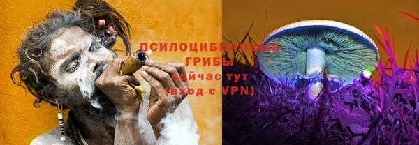 прущая мука Армянск